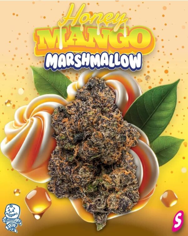 Honey Mango
