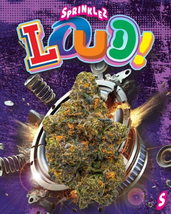 Loud