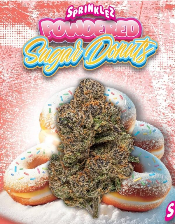 Powdered Sugar Donuts